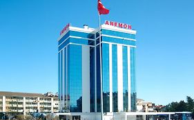 Anemon Konya