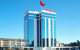 Anemon Konya